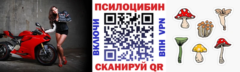 площадка официальный сайт  закладка  Губкин  Галлюциногенные грибы Magic Shrooms 